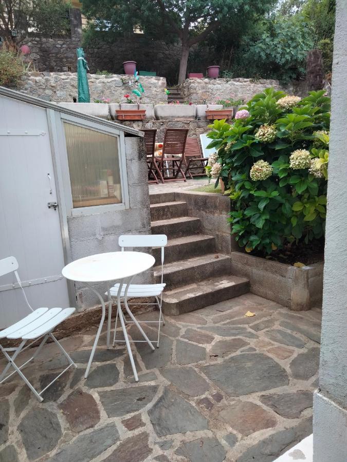 Beautiful Apartment With Garden 艾美丽·莱斯·班恩斯·帕尔 外观 照片